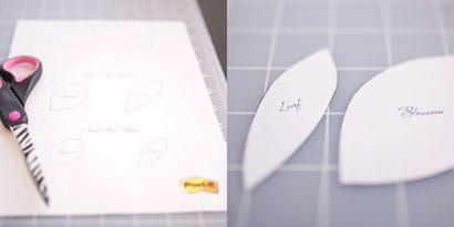 Trace That Line! Trace That Line!